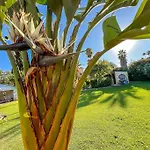 Tierra Sana Estepona