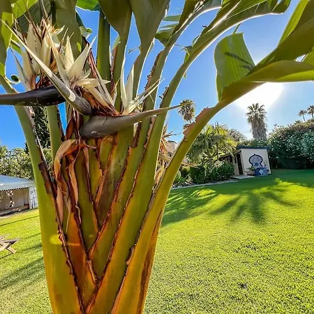 Tierra Sana Estepona