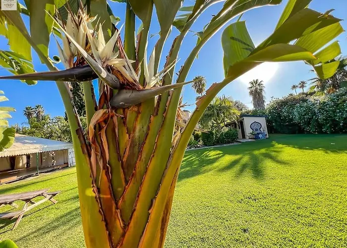 Tierra Sana Estepona