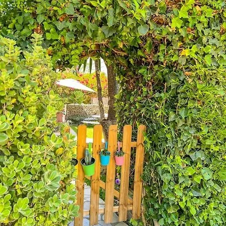 Tierra Sana إِستيبونا