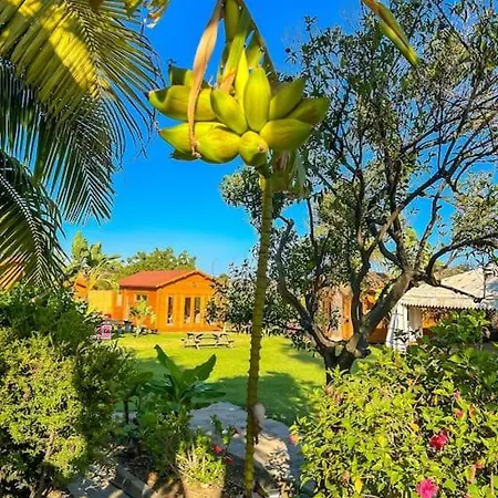 Tierra Sana * Estepona