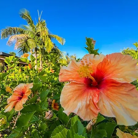 Tierra Sana فيلة إِستيبونا