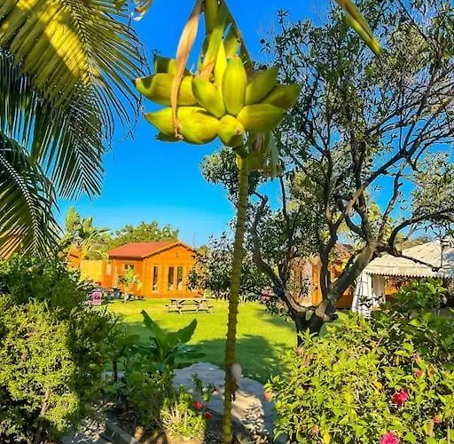 Tierra Sana * 埃斯特波纳