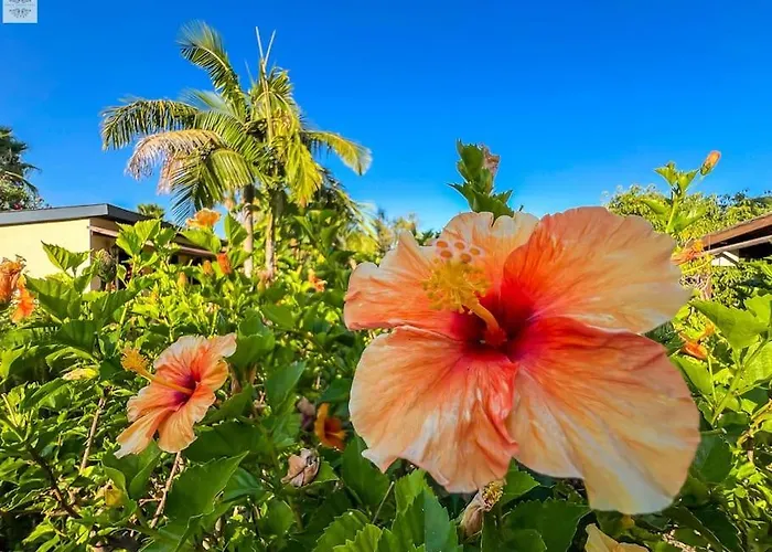 Tierra Sana 别墅 埃斯特波纳